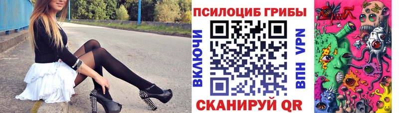 блэк спрут зеркало  Снежногорск  Галлюциногенные грибы Magic Shrooms 